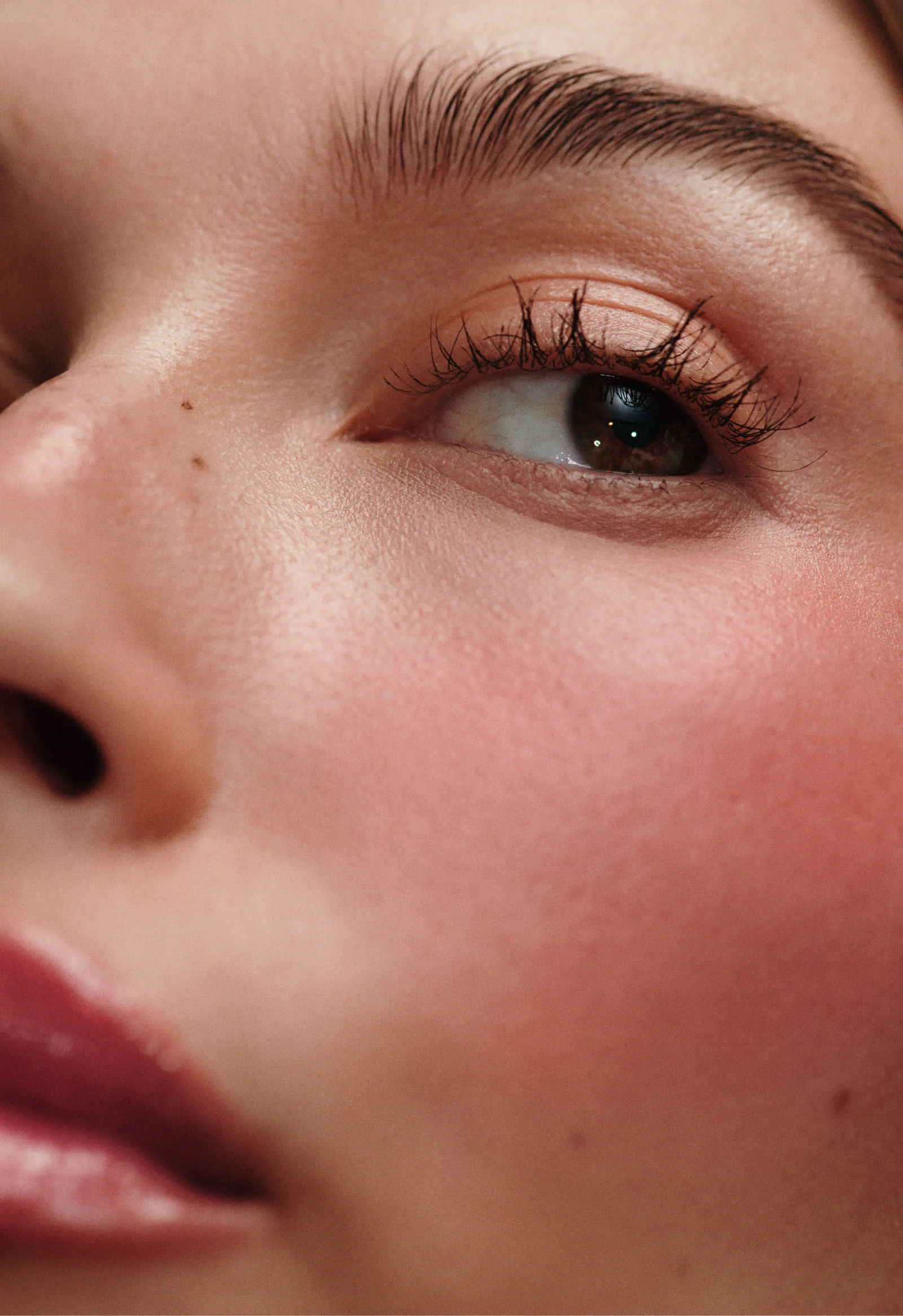 pocket blush freckle - Image 3